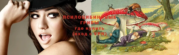 герыч Бородино