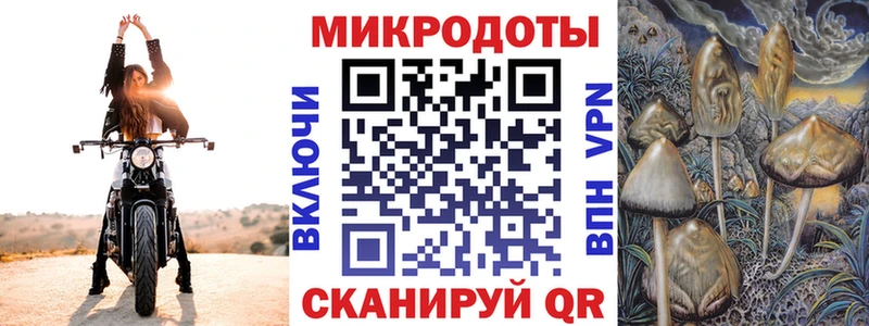 Галлюциногенные грибы прущие грибы  Купить  Менделеевск 